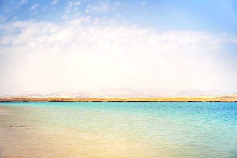 הסעות לסיני